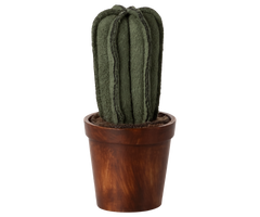 Flower pot with cactus