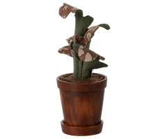 Flower pot with plant